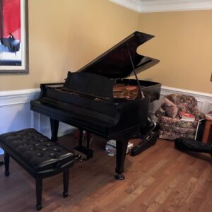 Wissner Concert Grand