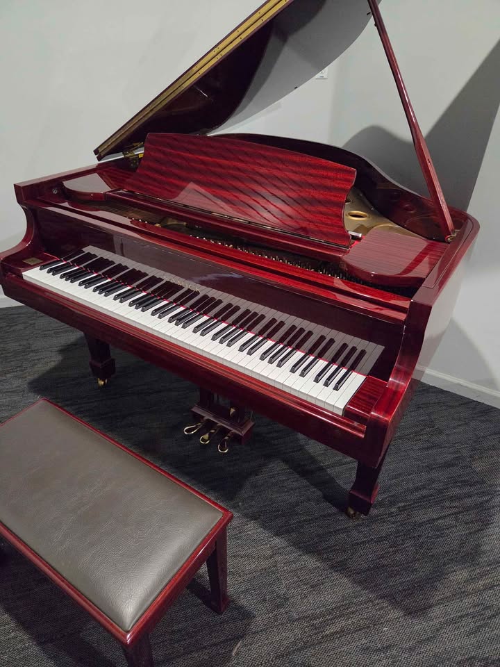 Samick SG-155 Baby Grand (5’1″)